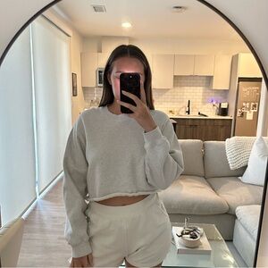 Aritzia Gray Cropped Sweatshirt